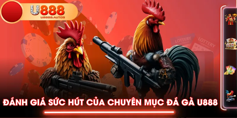 Đánh giá sức hút của chuyên mục Đá Gà U888